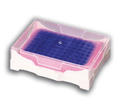 StarChill jäähdyttävä teline PCR lila/pinkki